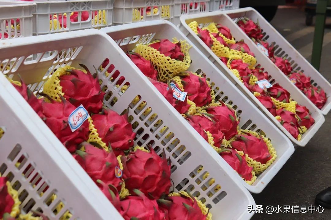 揭秘各种水果批发的价格,批发市场卖水果的技巧