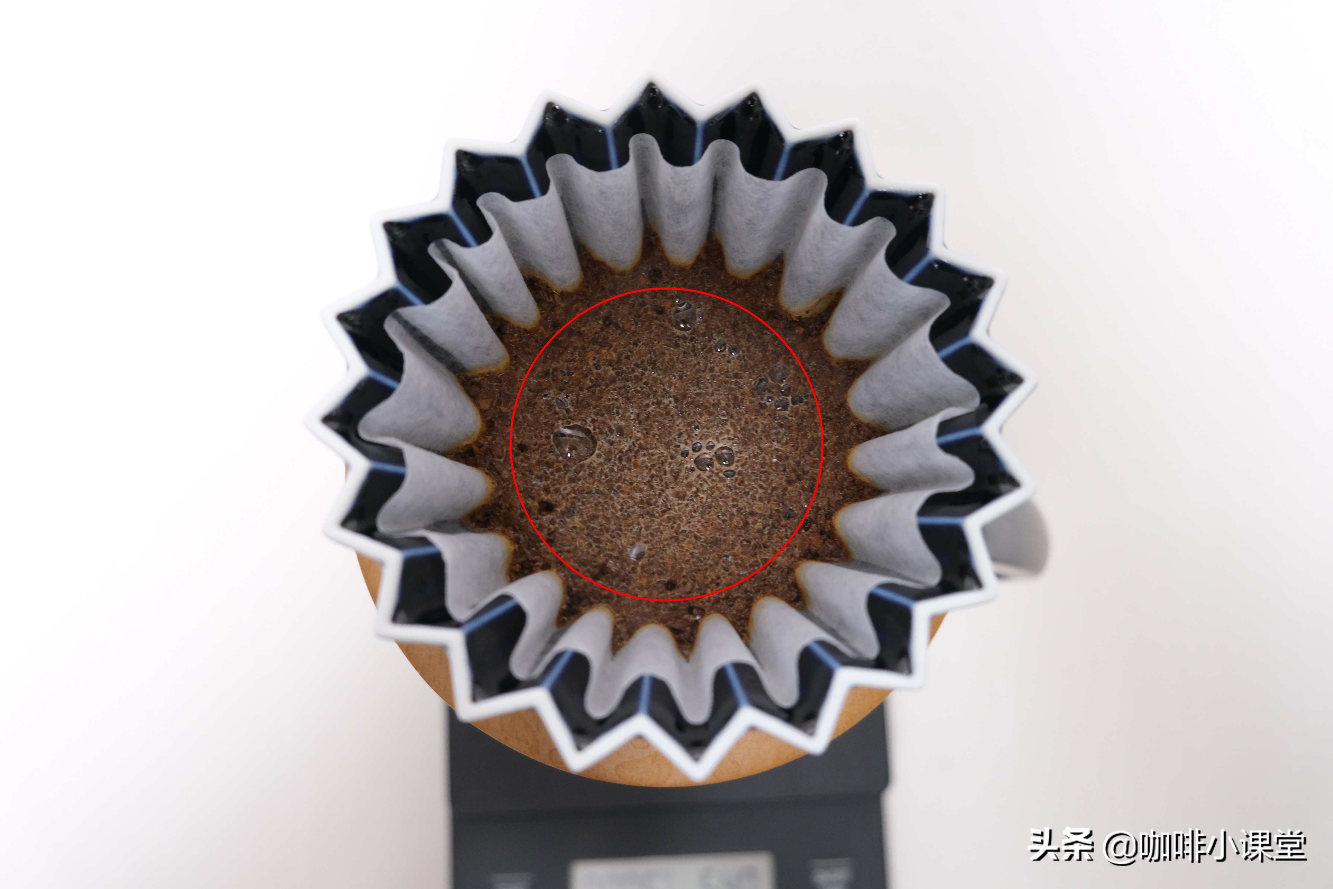 意式咖啡预浸泡有什么作用,调制咖啡常见的五种处理法