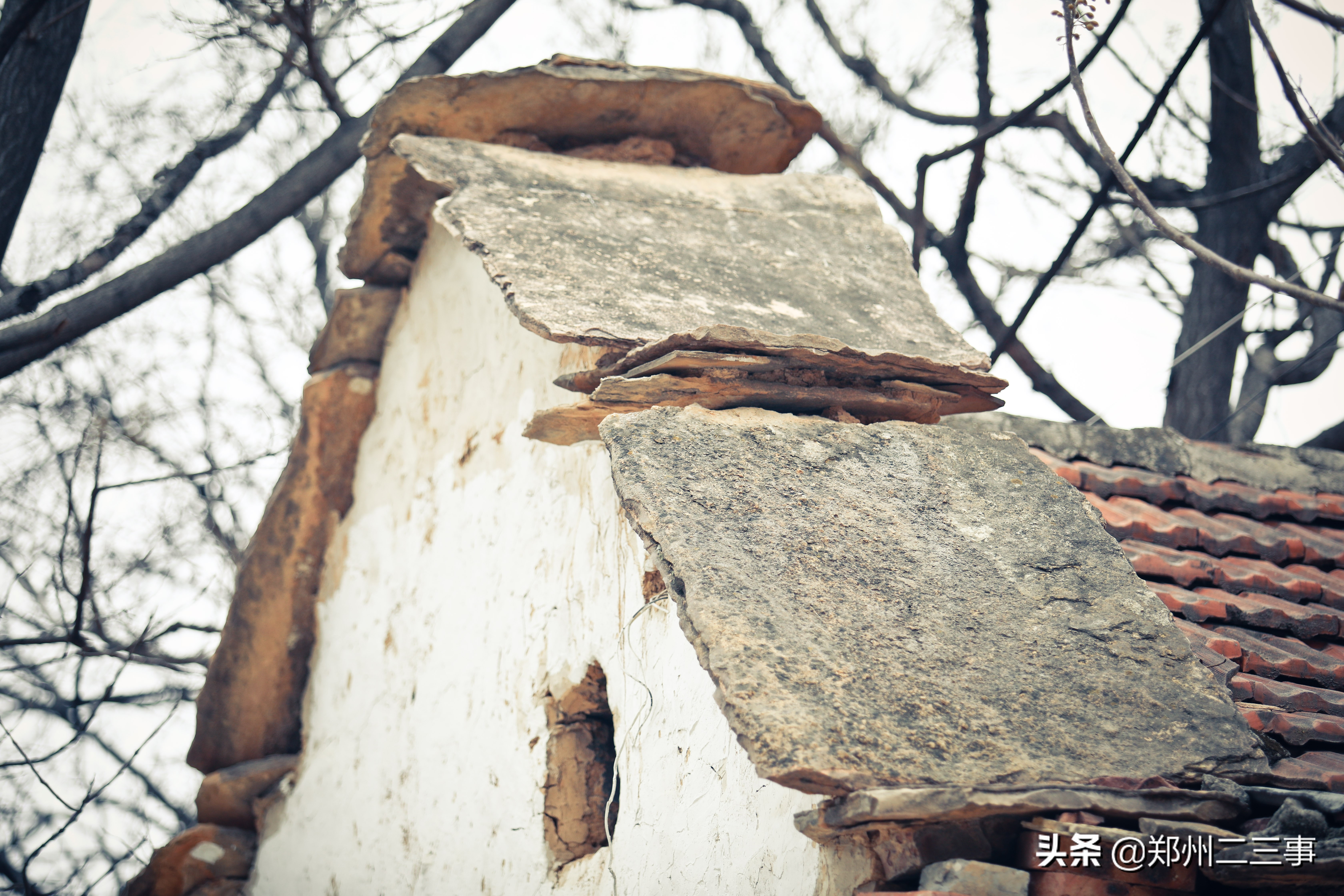 郑州惠济区免费遛娃好去处植物园,郑州遛娃踏青好去处
