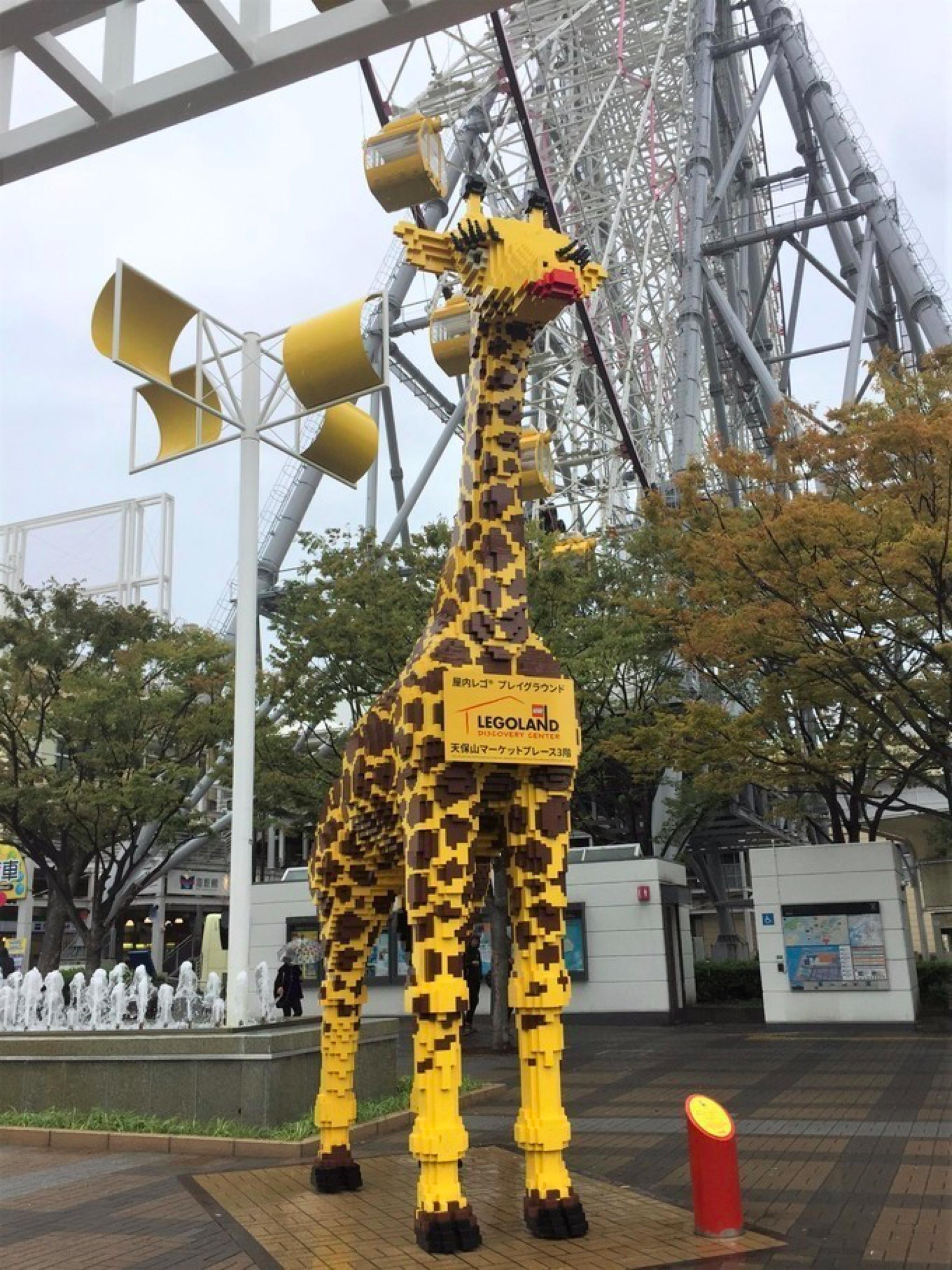 去大阪买什么交通卡好,大阪周游卡日本大阪哪里购买