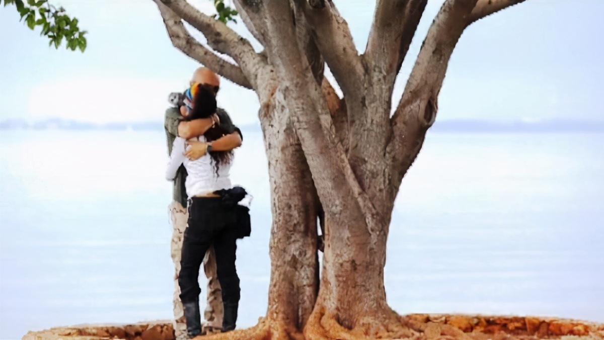 宁静怼乐嘉集锦,宁静谢娜乐嘉综艺节目