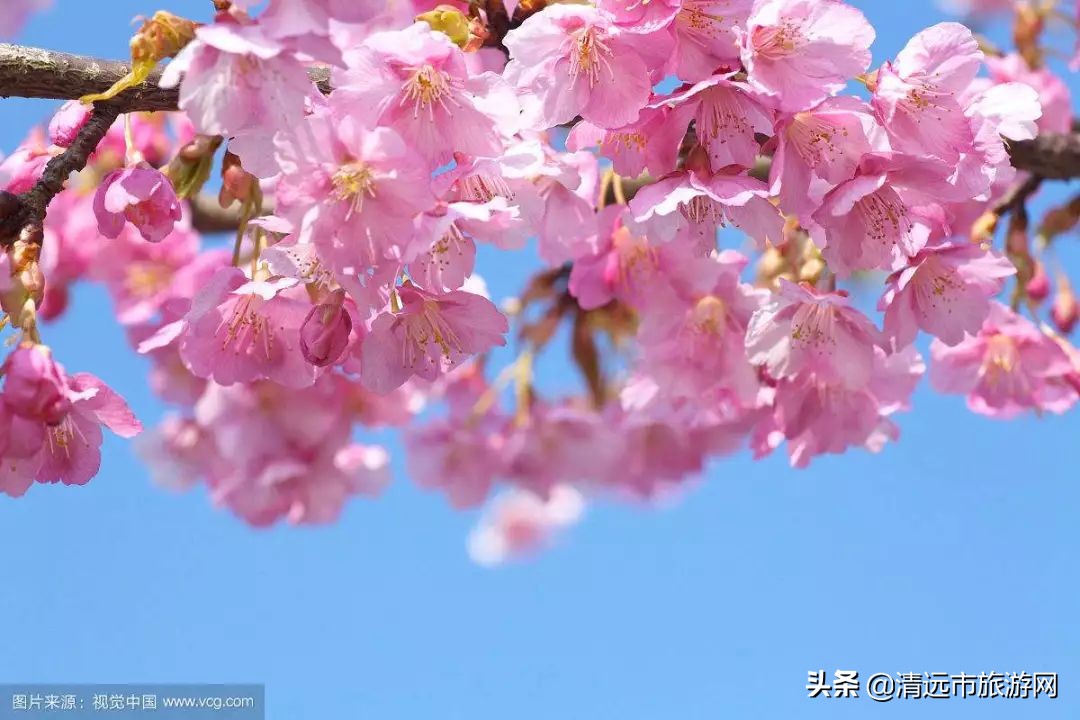 寒假亲子游推荐4-5天游,暑假亲子游玩地点推荐3天2夜