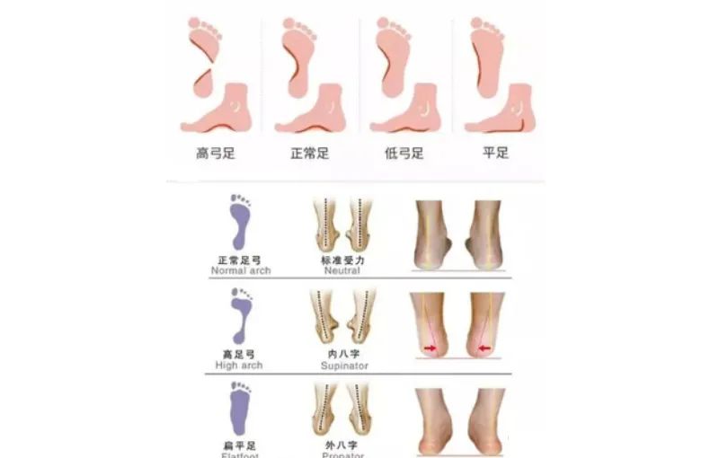 下犬式的脚后跟可以着地了,下犬式脚后跟触地