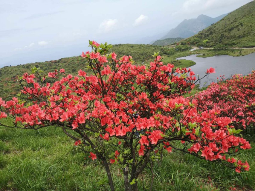 诗鬼李贺诗选,诗鬼李贺的23首诗