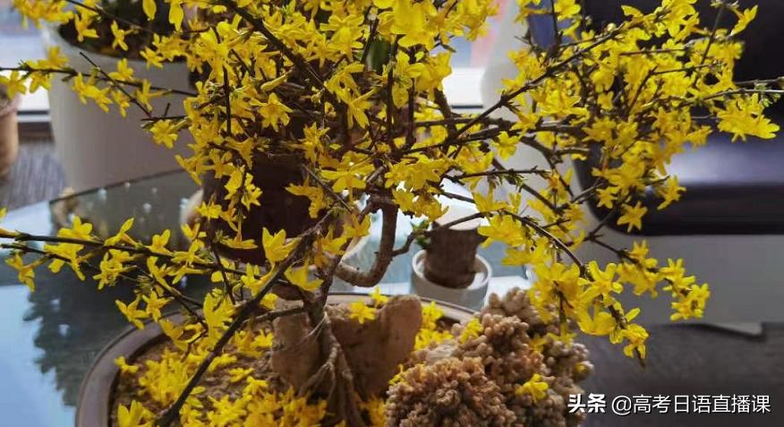 高考日语十大必考,高考日语必背1000单词