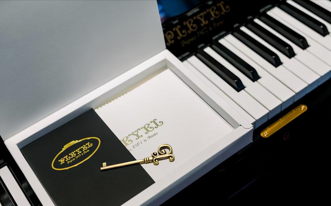 天津钢琴品牌选购攻略,天津买钢琴什么品牌好