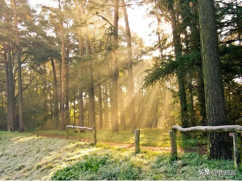 赢在起跑线上的进口刨花板——不得不服气的五大优势！