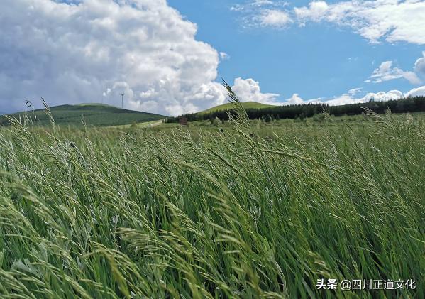 健康科普如何缓解视疲劳,哪些产品可以缓解视疲劳