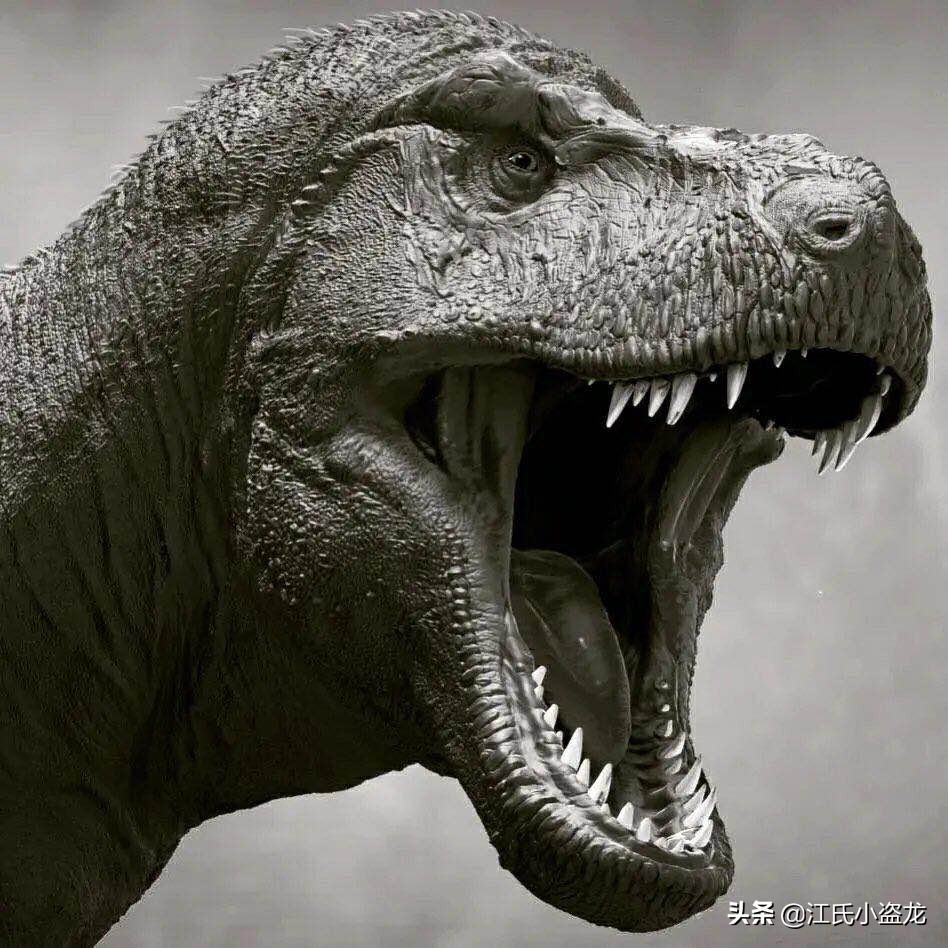 霸王龙的一生,霸王龙最关键的两个阶段