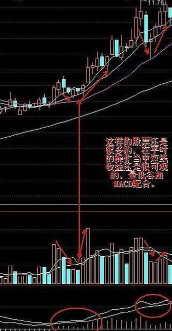 指标之王macd,指标之王macd的应用精解建议收藏