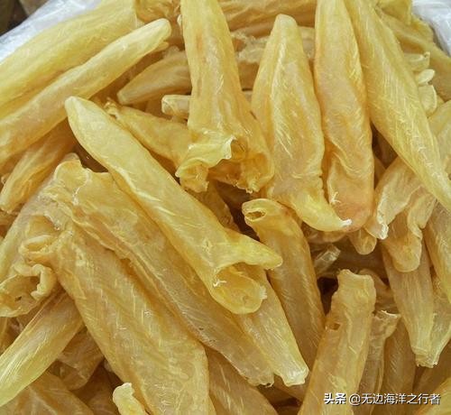 花胶的价格分析花胶多少钱一斤,花胶批发市场怎么选花胶