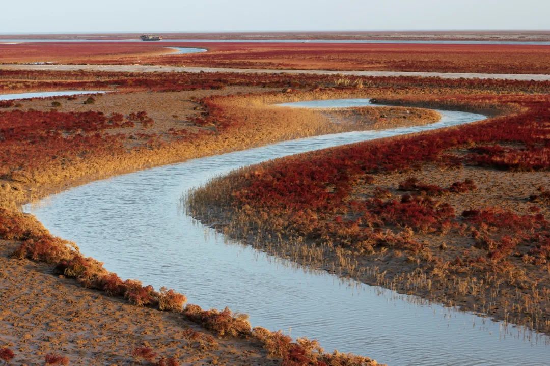 山东这两座小城，集齐了所有令人向往的美景，超级适合自驾！