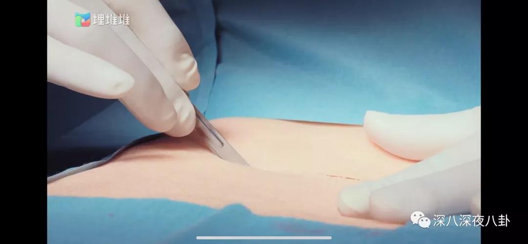 tvb8.8分 (tvb 9.5分)