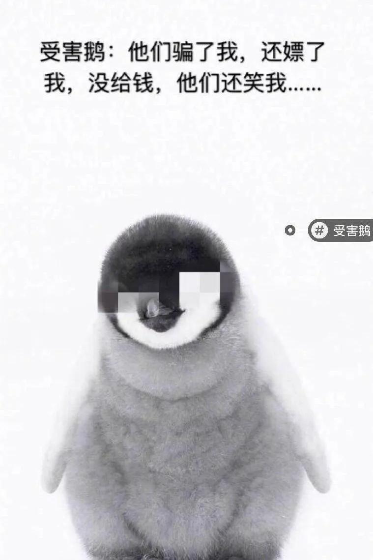 老干妈回应腾讯被骗了多少钱,老干妈回应腾讯被骗视频