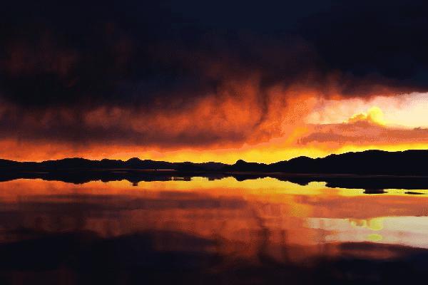 虫草山水画,四季花草山水画作品欣赏