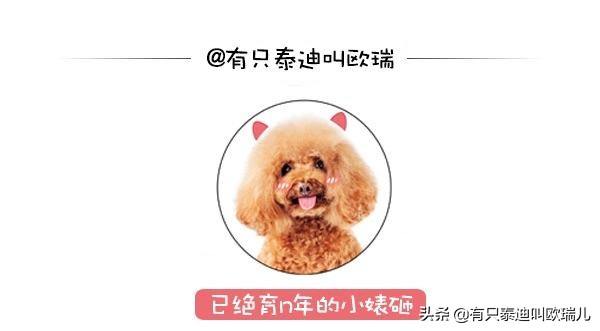 就是要睡,就是要睡觉