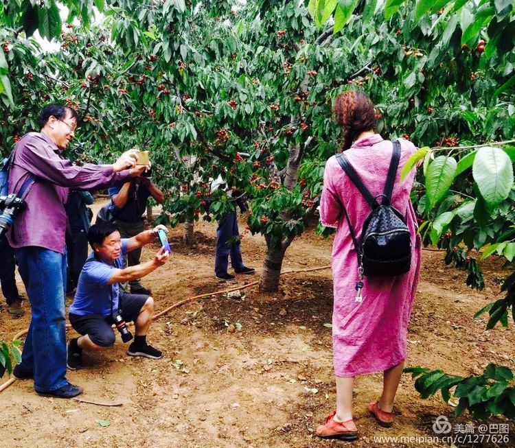 洛阳晚报作品,洛阳晚报2020年