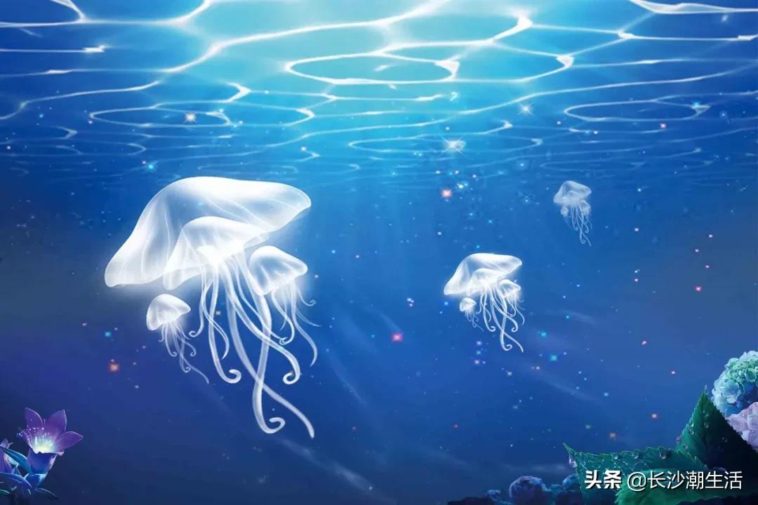 宁乡吾悦海洋节,吾悦广场嘉年华海底世界