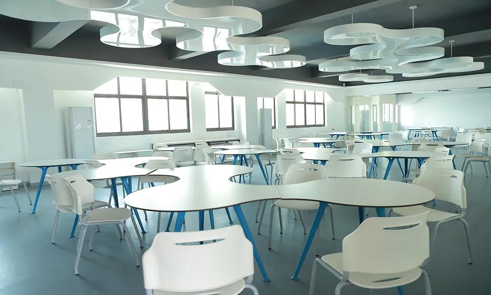 南山区外国语学校（集团）VS太子湾育才、深圳湾学校孰优孰劣