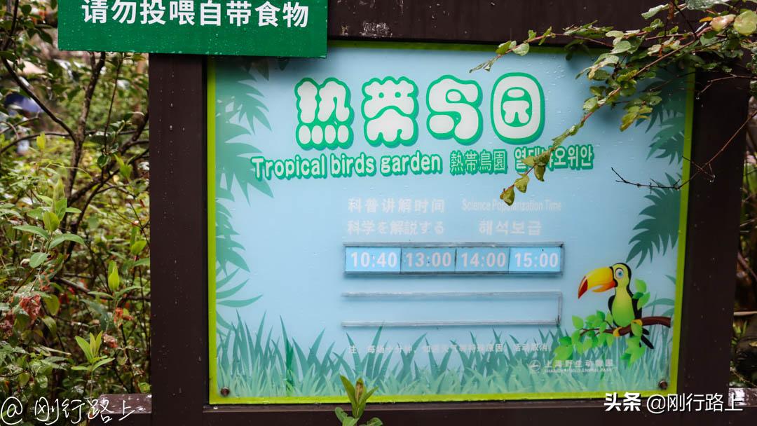 上海野生动物园攻略，一个适合亲子游玩的地方