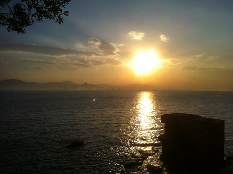 厦门鼓浪屿免费,厦门景点半价政策最新规定