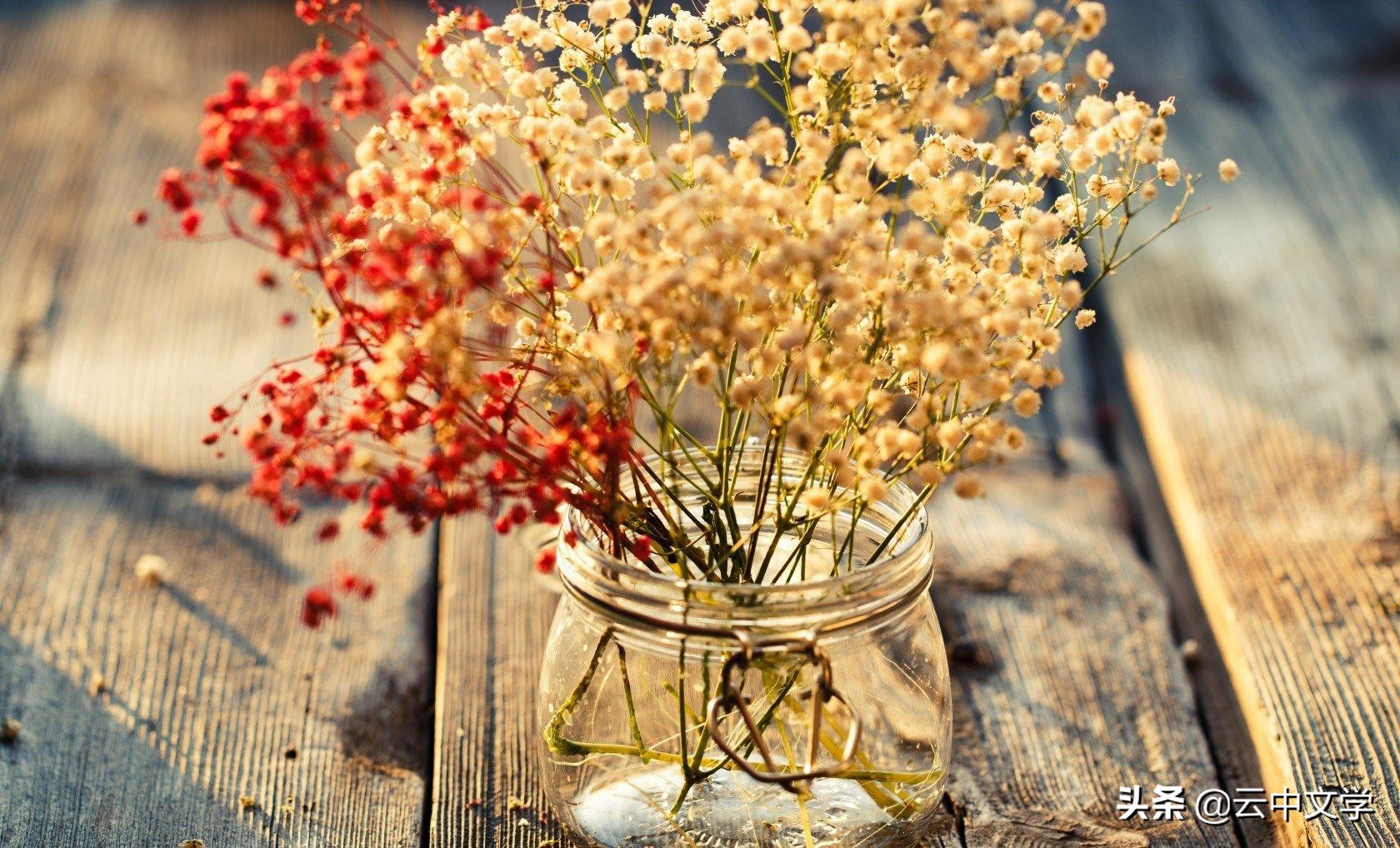 高中语文重点文学常识书,高中语文文学常识哪个教材比较全