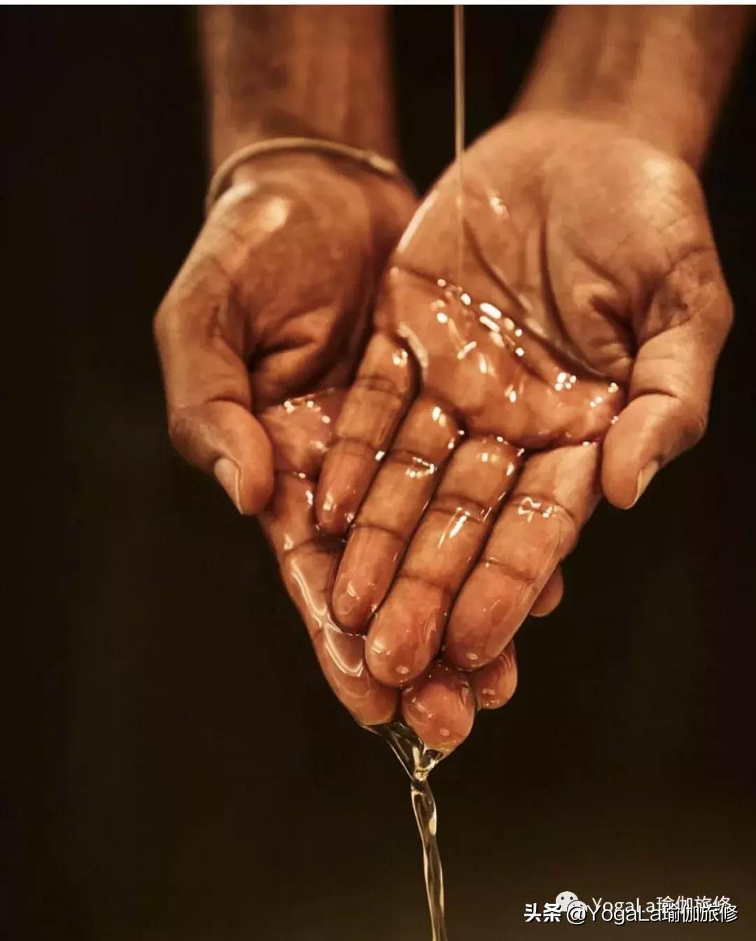 YogaLa2019印度南部阿育啡陀认证课程+排毒解压之旅