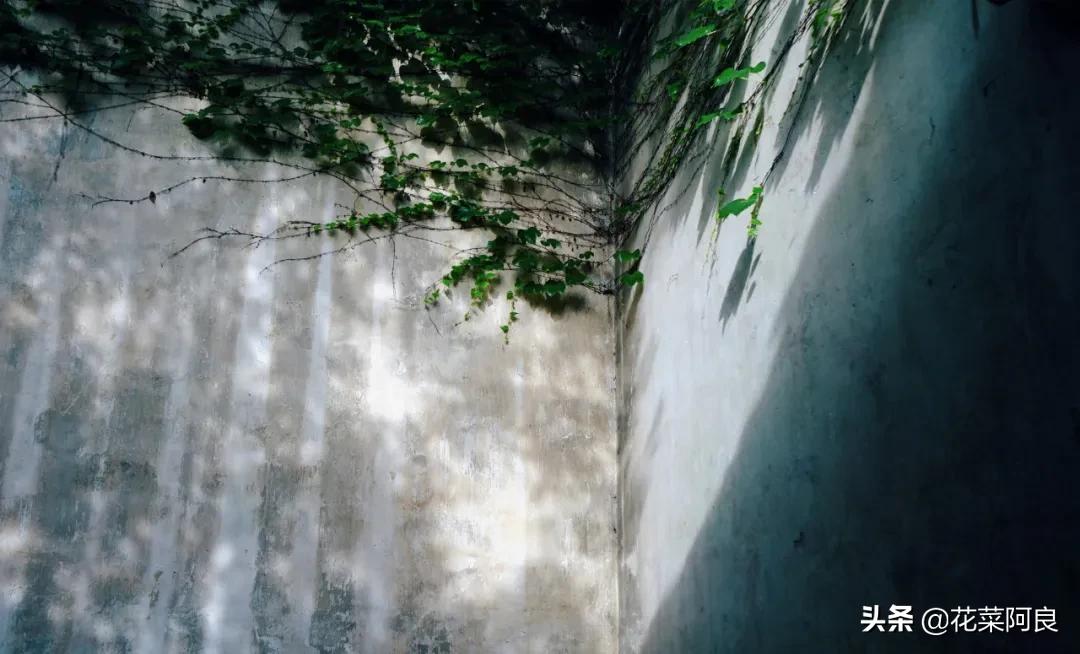 留园拙政园哪个景色好,留园和拙政园