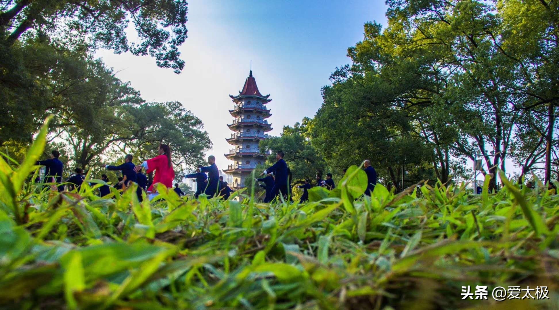 太极拳的节奏有多重要，直接影响你的韵味儿