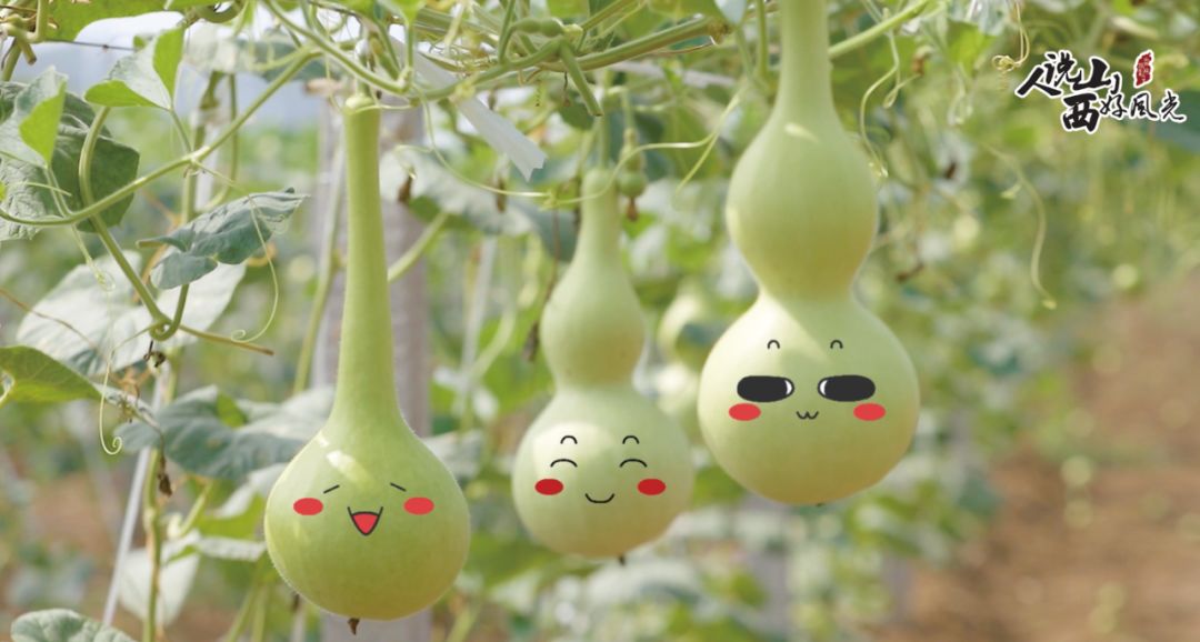 清徐县乡村振兴,清徐县农业项目