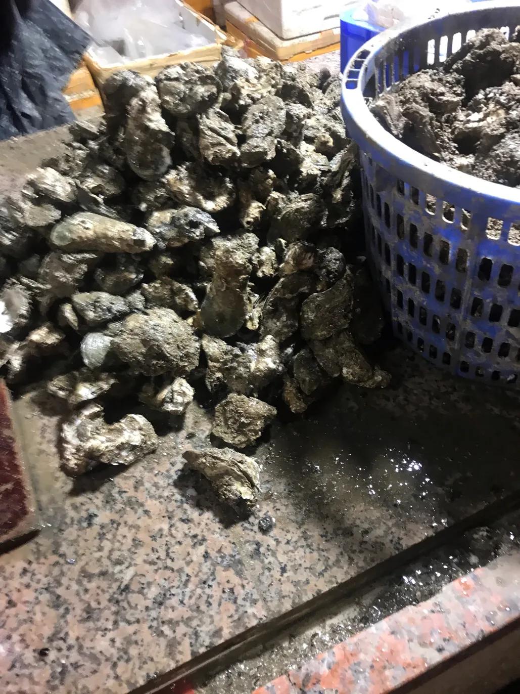 珠海斗门哪里海鲜便宜,吃货必去的海鲜城市