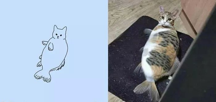 你和大触绘画的区别：一看就会一画就废，这波动物简笔画太形象了