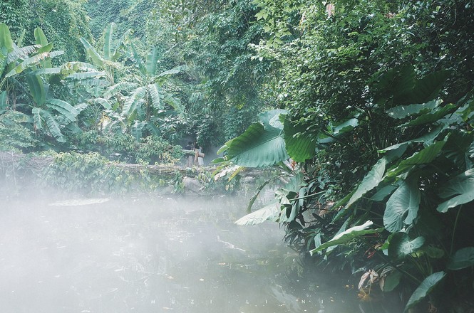 海上花园鹭岛行,海上花园鹭岛城市