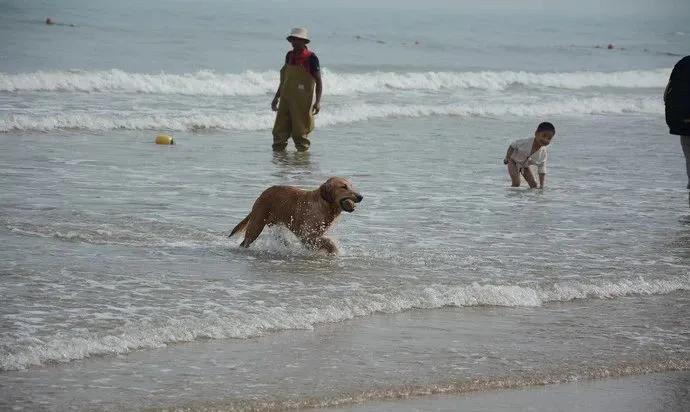 青岛是一座非常值得参观的城市,青岛不是一线城市吗