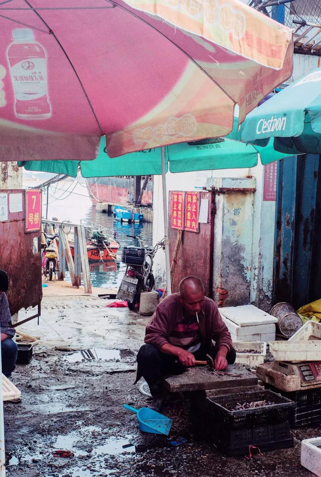 再见红利的图片,再见了股市视频