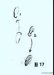 传拳,传拳不传步