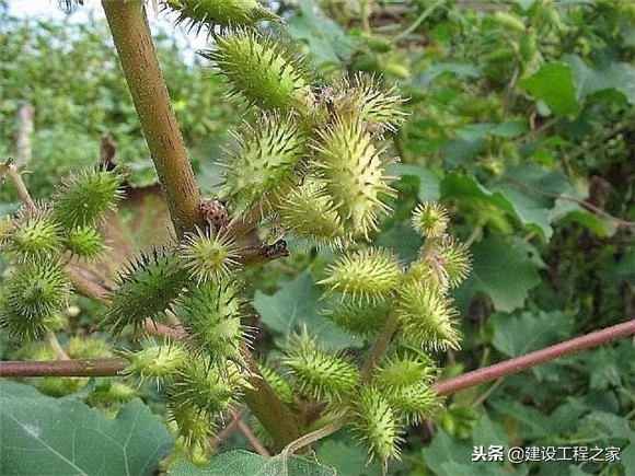 425水泥几天能完全硬,325水泥几天能完全硬