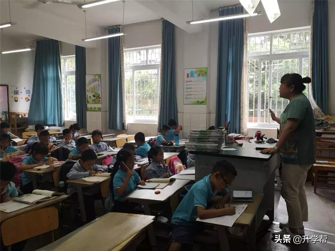 成都教育局小学生课后服务热点,成都市中小学课后托管