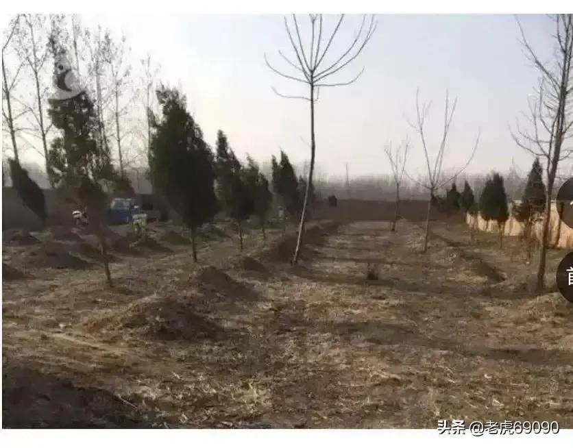 曹县魏湾镇各村姓氏分布,曹县魏湾地名