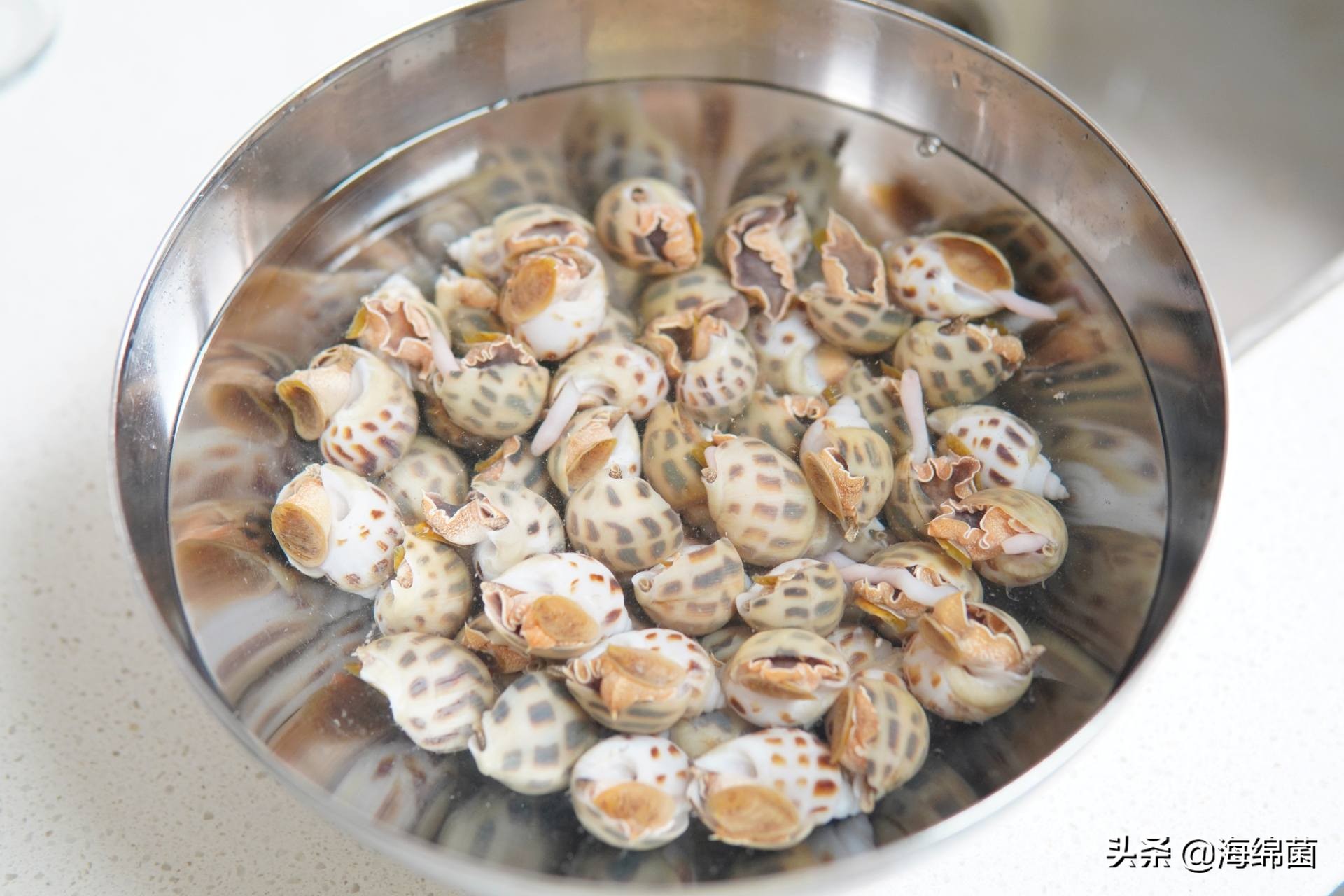 bolali博拉利多功能蒸汽料理锅,蒸汽桑拿锅测评