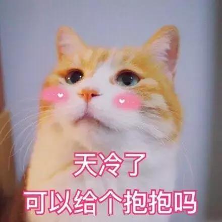 秋冬光腿神器穿搭,光腿神器秋冬款显瘦第一名