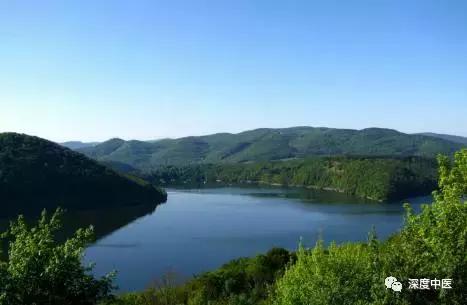 中医角度痛风的病因是什么,中医如何认识痛风