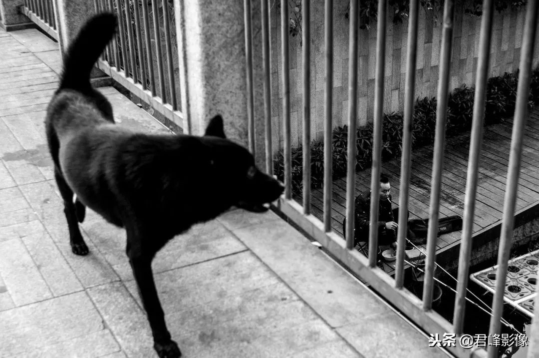 2018年最值得感动的时刻,对于2018你最大的收获是什么