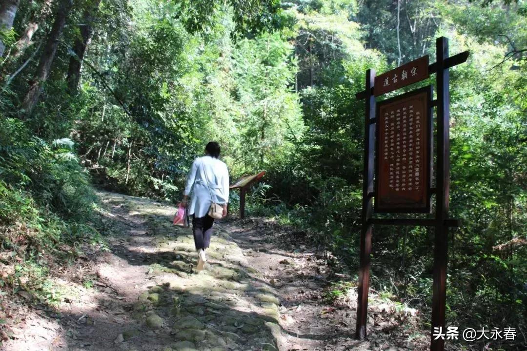 永春免费旅游景点大全一日游,永春山歌小镇旅游攻略