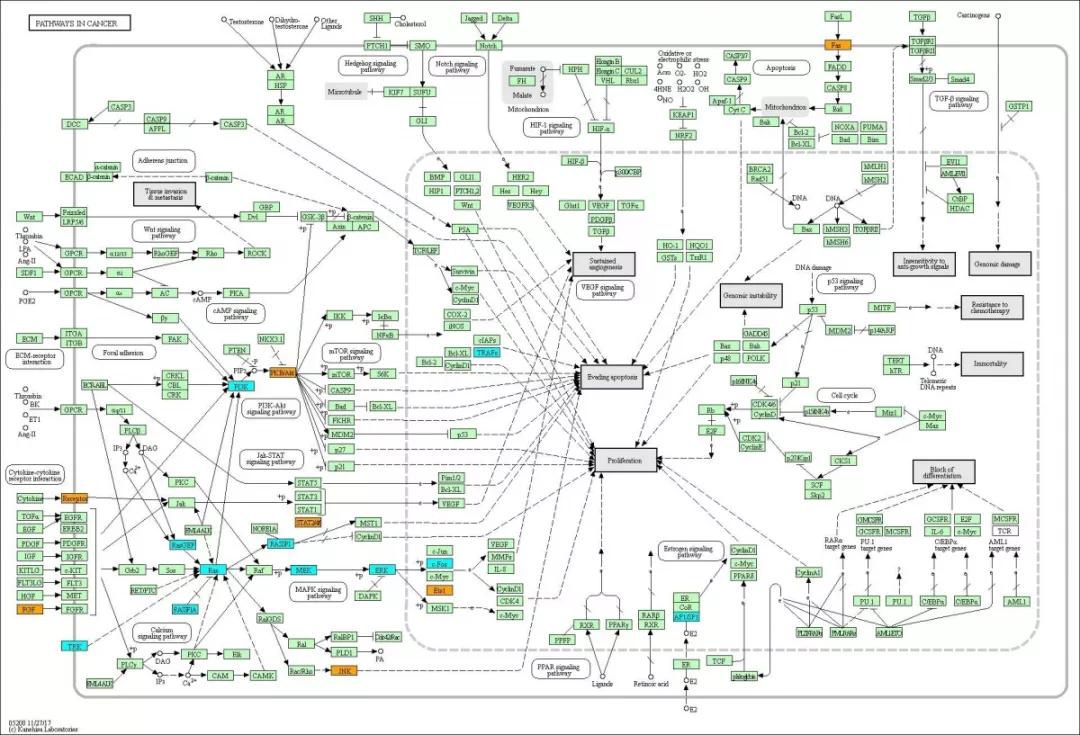 生信常用的数据库,生信数据处理流程