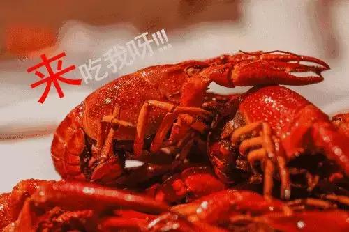 灏忛緳铏惧拰鎴夸环,灏忛緳铏炬埧浠峰灏戜竴骞虫柟