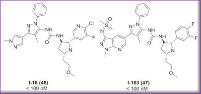 澶氬璺ㄥ浗鑽紒,璺ㄥ浗闆嗗洟鐮斿埗鐨勬姉鐧屾敞灏勫墏