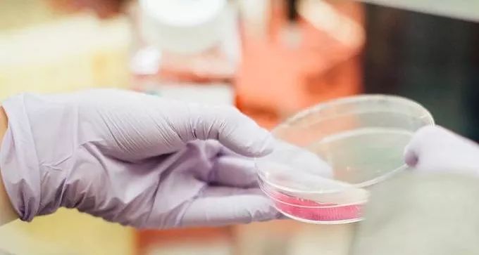 动物优质蛋白,小孩蛋氨酸过高