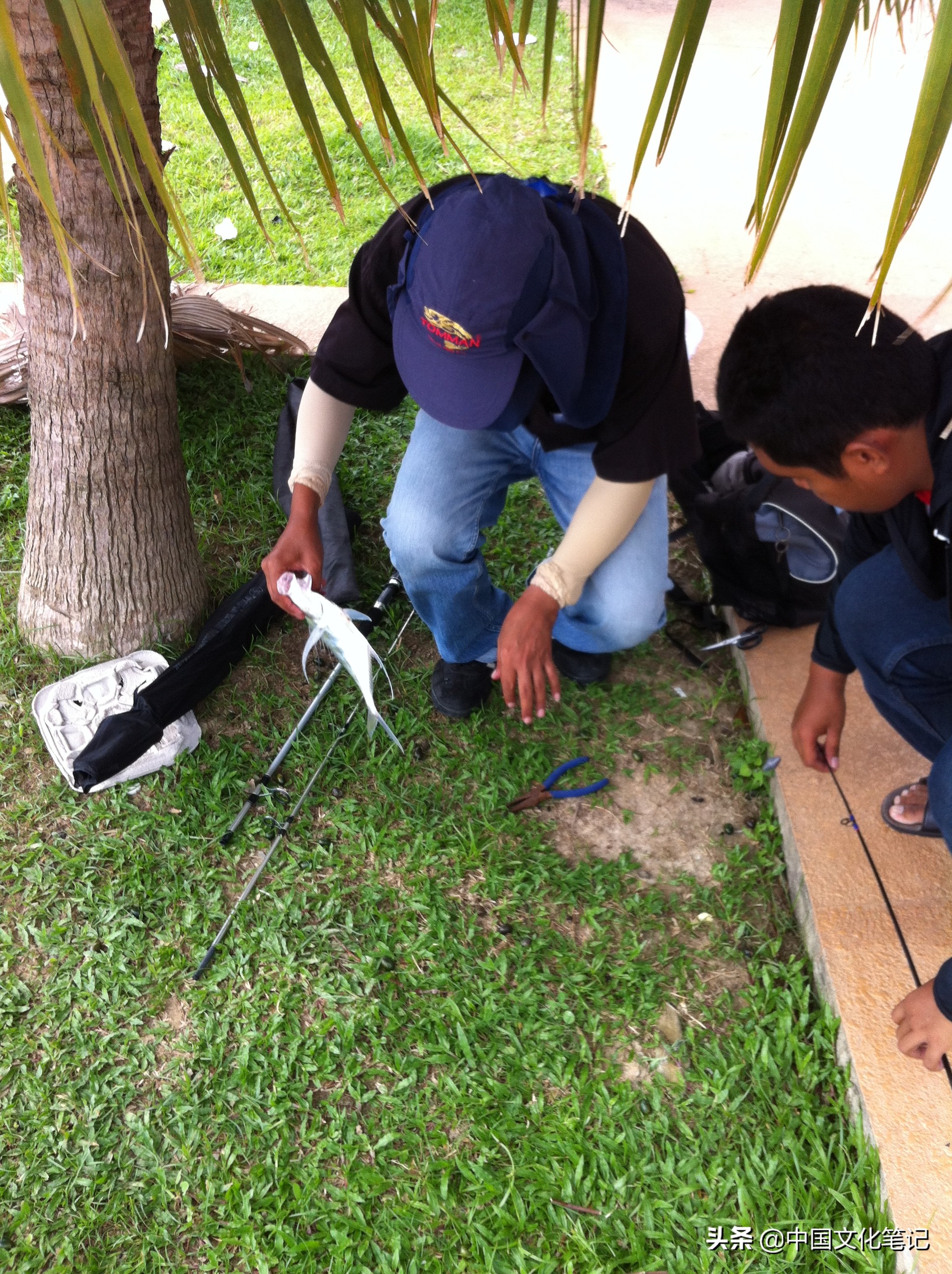 去沙巴大学和水上清真寺,沙巴水上清真寺自由行热门攻略