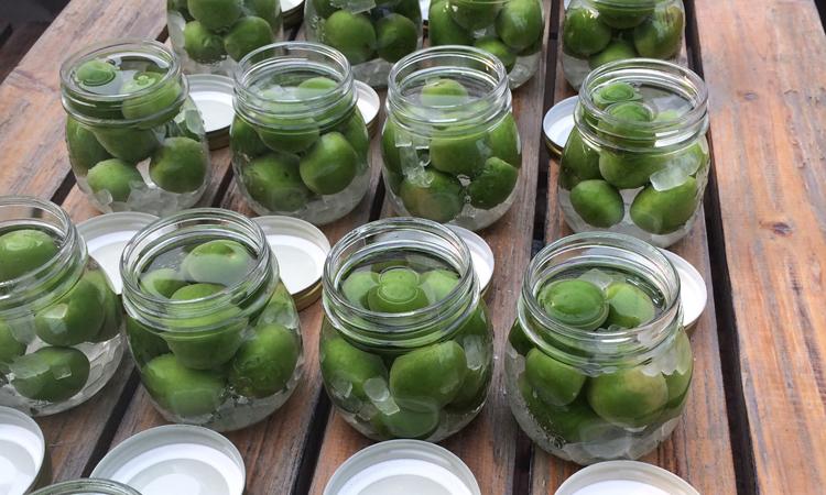 果酒销量排行榜,上半年葡萄酒销量